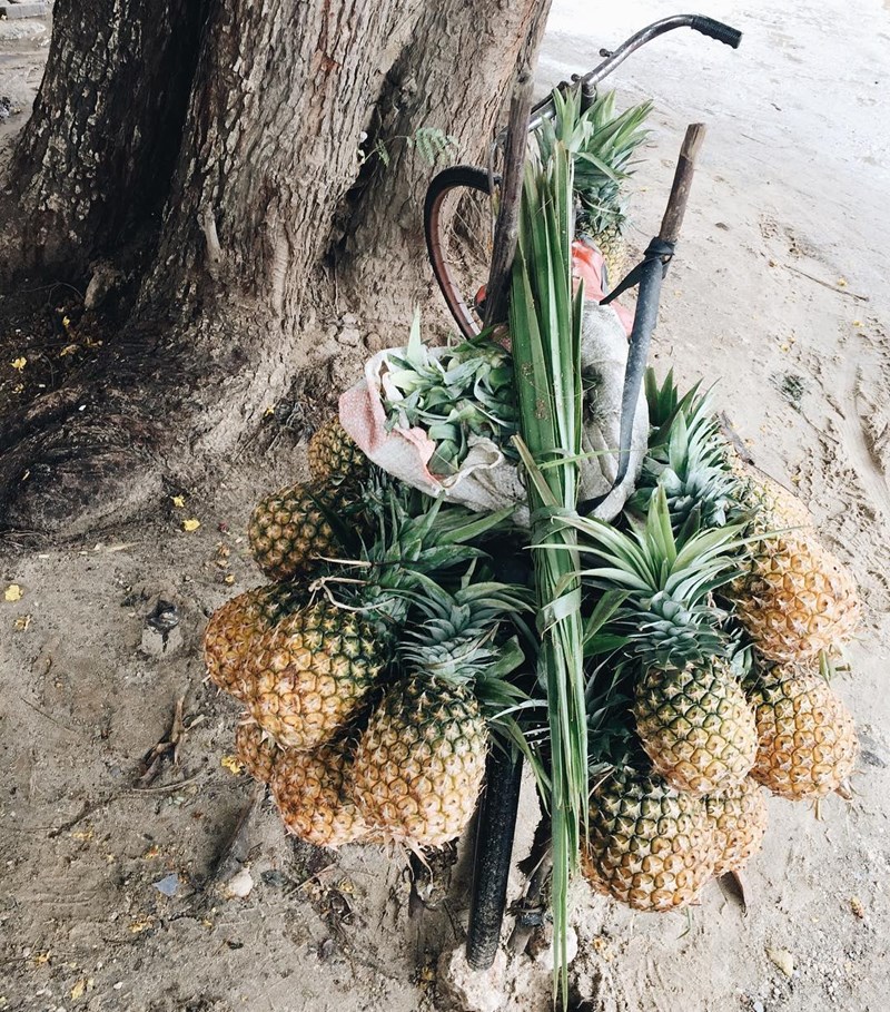 Ένας εξωτικός παράδεισος χτισμένος πάνω στο κύμα (38 φωτογραφίες) - εικόνα 25