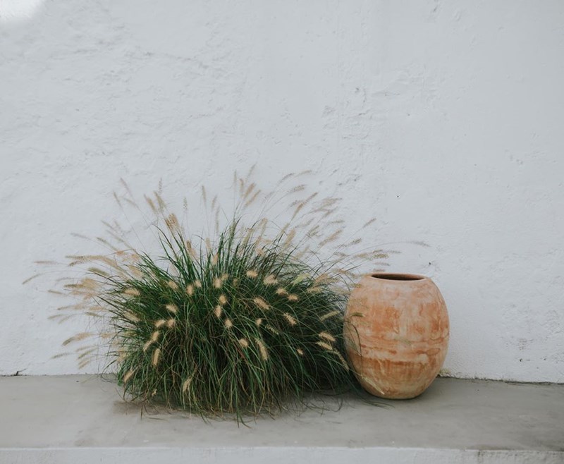 Slow Living: 38 φωτογραφίες από ένα κατάλευκο οίκημα στη Λισαβόνα - εικόνα 28