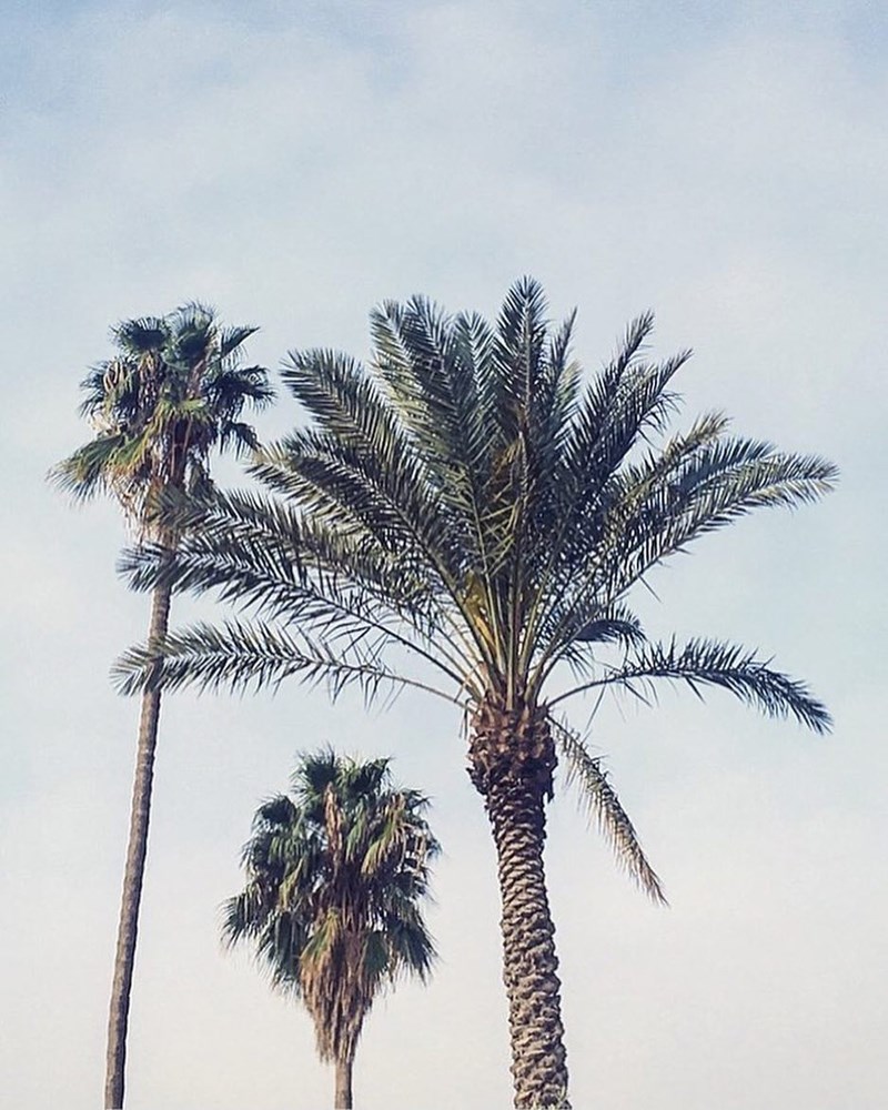 Έρωτας στο Μαρακές: Ένα ριάντ για χίλιες και μία απολαύσεις! - εικόνα 27