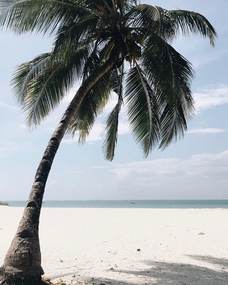 Ένας εξωτικός παράδεισος χτισμένος πάνω στο κύμα (38 φωτογραφίες) - εικόνα 32