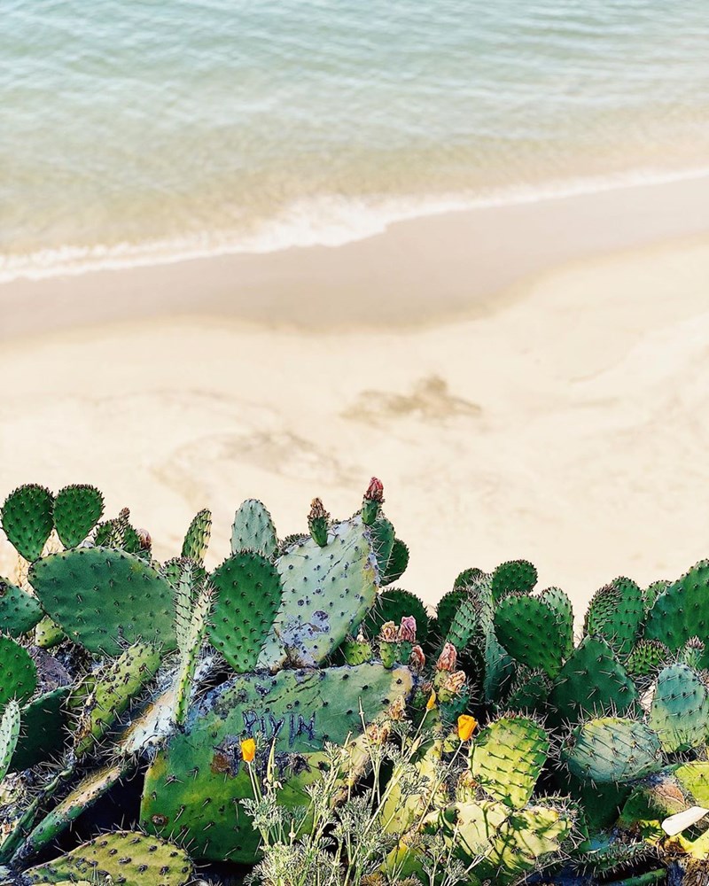 Δες πώς μπορείς να μεταμορφώσεις ένα παλιό εξοχικό με τα σωστά χρώματα! - εικόνα 33