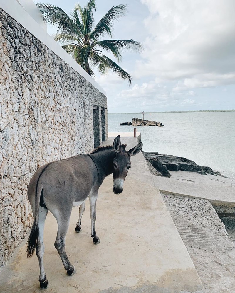 Ένας εξωτικός παράδεισος χτισμένος πάνω στο κύμα (38 φωτογραφίες) - εικόνα 34