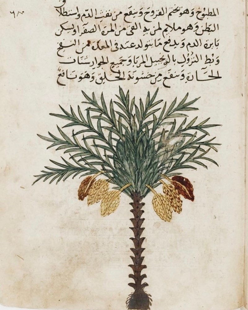 Ένας εξωτικός παράδεισος χτισμένος πάνω στο κύμα (38 φωτογραφίες) - εικόνα 35