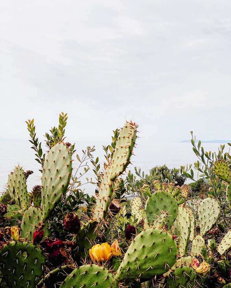 Δες πώς μπορείς να μεταμορφώσεις ένα παλιό εξοχικό με τα σωστά χρώματα! - εικόνα 4