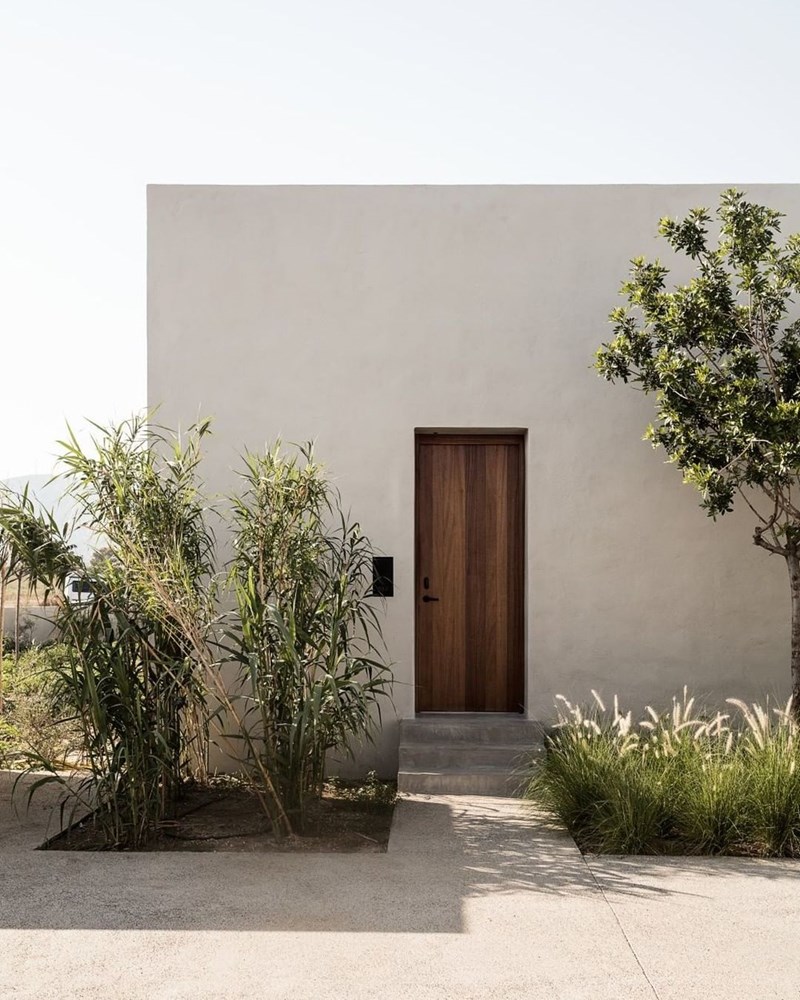 Ανεμελιά στη Μεσόγειο - εικόνα 5