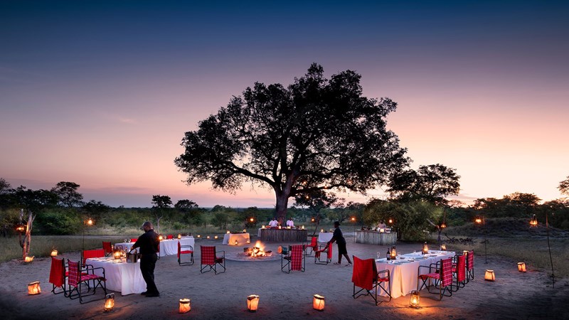 Safari στη Νότια Αφρική: H μαγεία της φύσης σε 26 υπέροχες φωτογραφίες - εικόνα 7