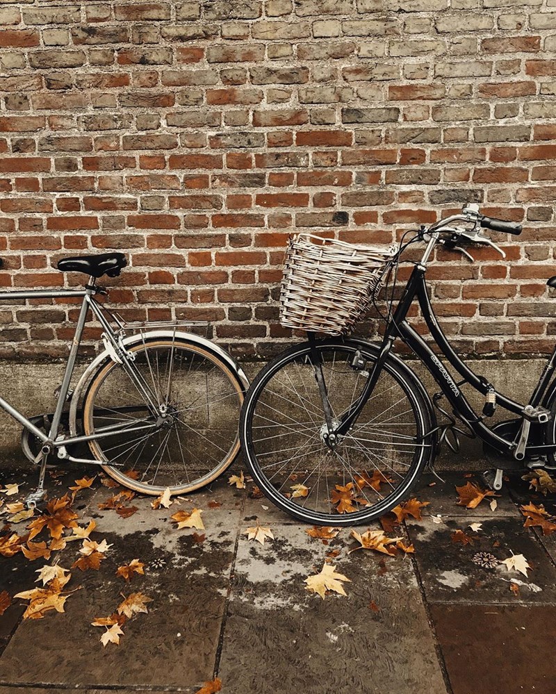 29 στιγμές απόλαυσης από την καθημερινότητα μιας book lover - εικόνα 8