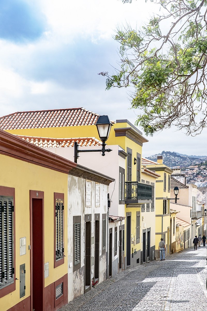 Απόδραση στη Μαδέρα με τη μοναδική άγρια ομορφιά - εικόνα 2