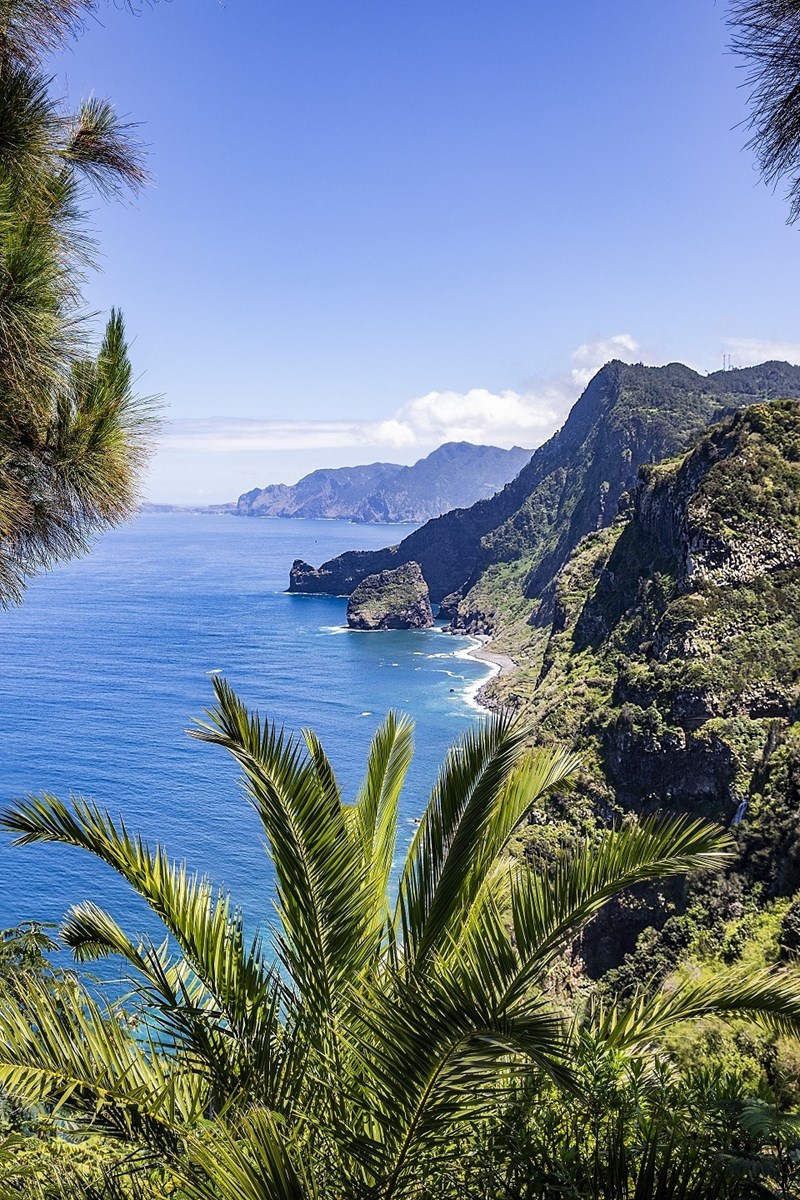 Απόδραση στη Μαδέρα με τη μοναδική άγρια ομορφιά - εικόνα 1