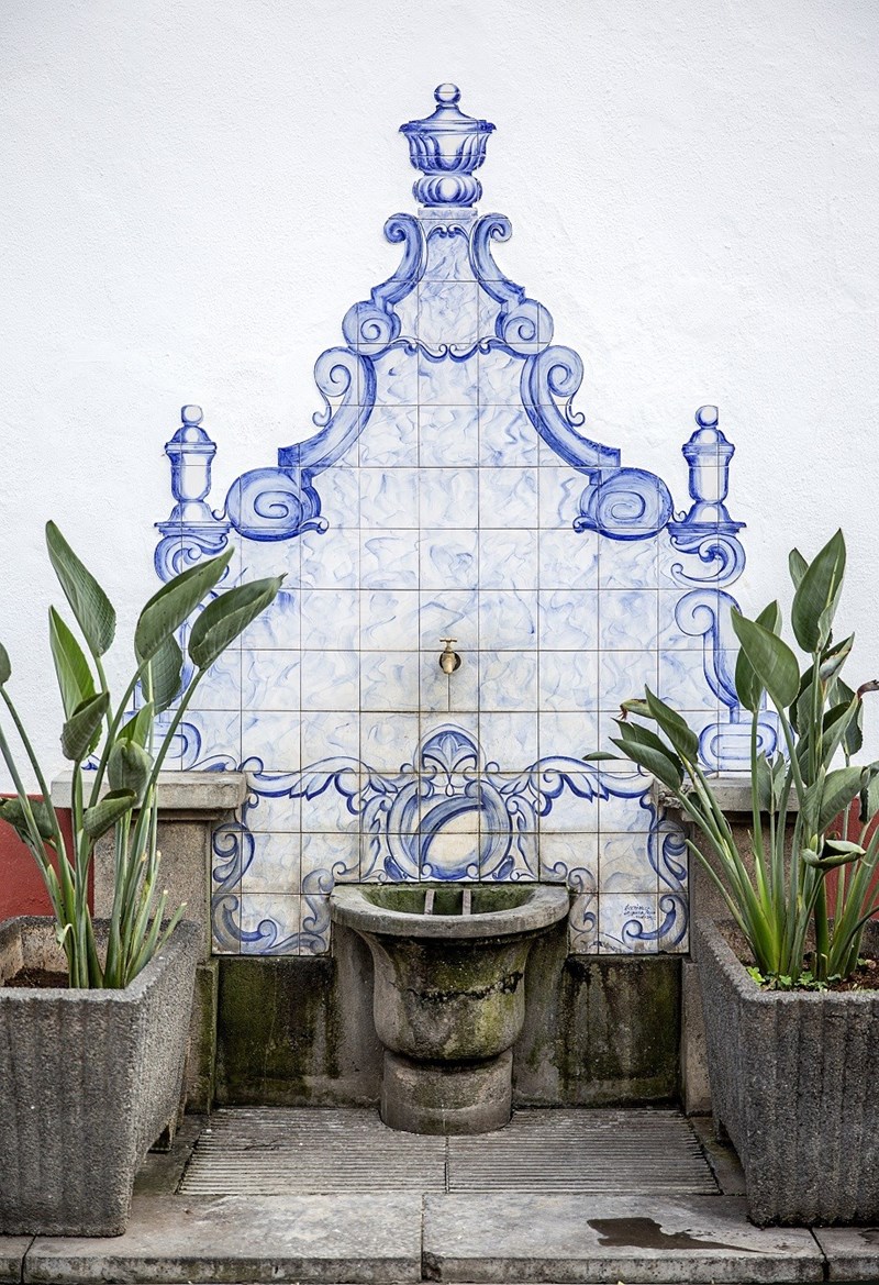 Απόδραση στη Μαδέρα με τη μοναδική άγρια ομορφιά - εικόνα 4