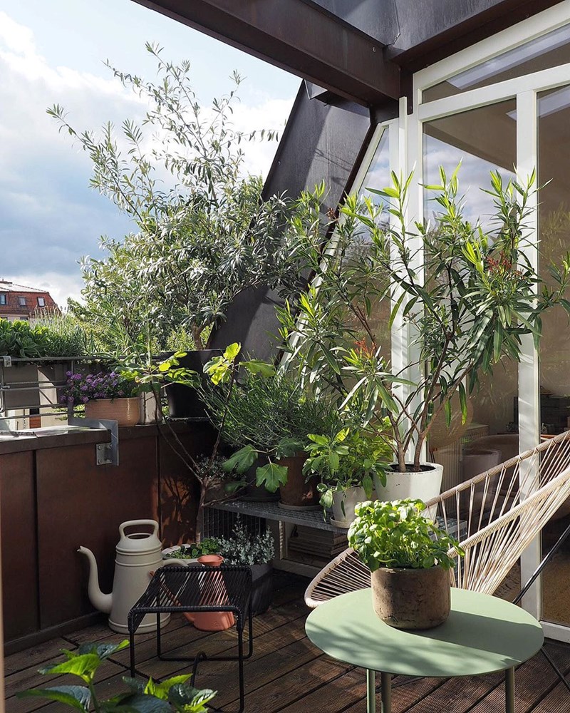 Πώς θα φτιάξω μια πράσινη όαση στη μικρή βεράντα μου; (25 ιδέες από €12,99) - εικόνα 9
