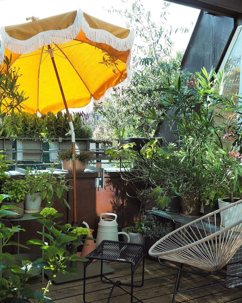 Πώς θα φτιάξω μια πράσινη όαση στη μικρή βεράντα μου; (25 ιδέες από €12,99) - εικόνα 12