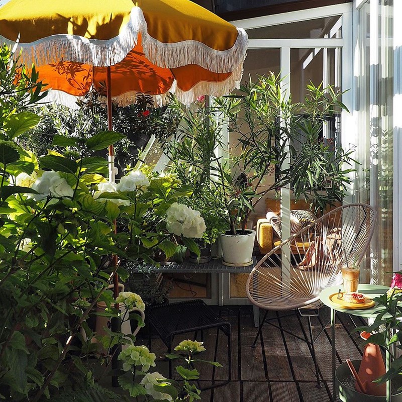 Πώς θα φτιάξω μια πράσινη όαση στη μικρή βεράντα μου; (25 ιδέες από €12,99) - εικόνα 14