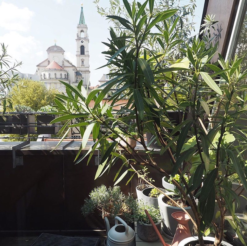 Πώς θα φτιάξω μια πράσινη όαση στη μικρή βεράντα μου; (25 ιδέες από €12,99) - εικόνα 2