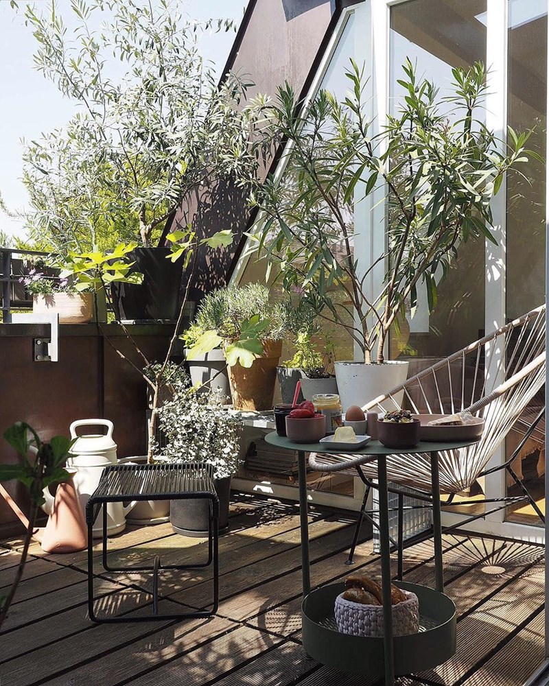 Πώς θα φτιάξω μια πράσινη όαση στη μικρή βεράντα μου; (25 ιδέες από €12,99) - εικόνα 4