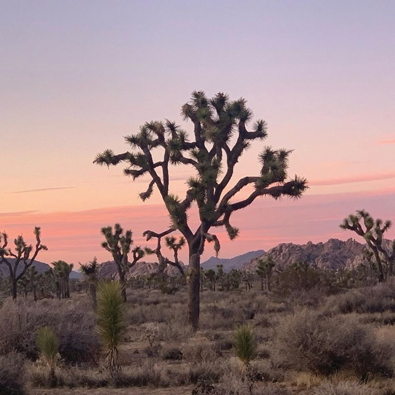 Μια μοντέρνα κατοικία γεμάτη μουσική στην ερημιά της στέπας - εικόνα 2