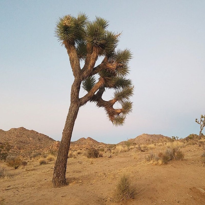 Μια μοντέρνα κατοικία γεμάτη μουσική στην ερημιά της στέπας - εικόνα 18