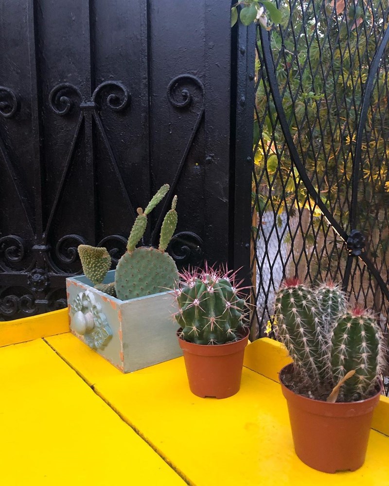 Cachou: Δώσαμε ραντεβού στην ωραιότερη αυλή της πόλης - εικόνα 4