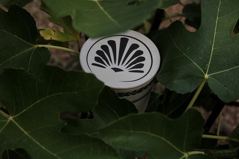 Choe: Τα φυσικά κεριά από την Κέρκυρα που ταξιδεύουν την Ελλάδα σε όλο τον κόσμο - εικόνα 2