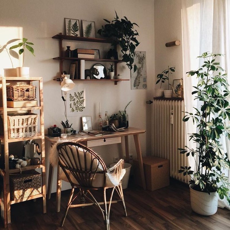 8 ιδέες για να γεμίσεις το σπίτι σου με φυτά - εικόνα 1