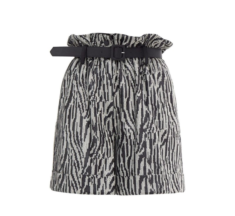 Zebra Print: Θα το φοράμε ξανά και ξανά όλο το 2021! - εικόνα 5