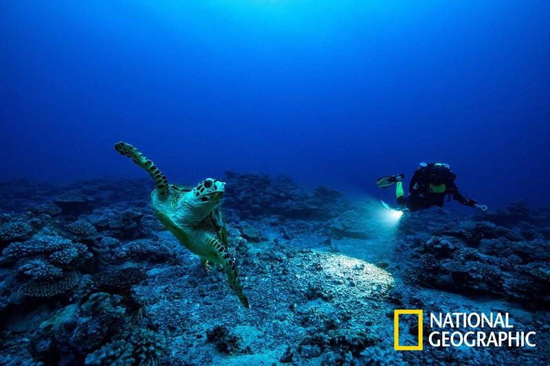 ντοκιμαντέρ