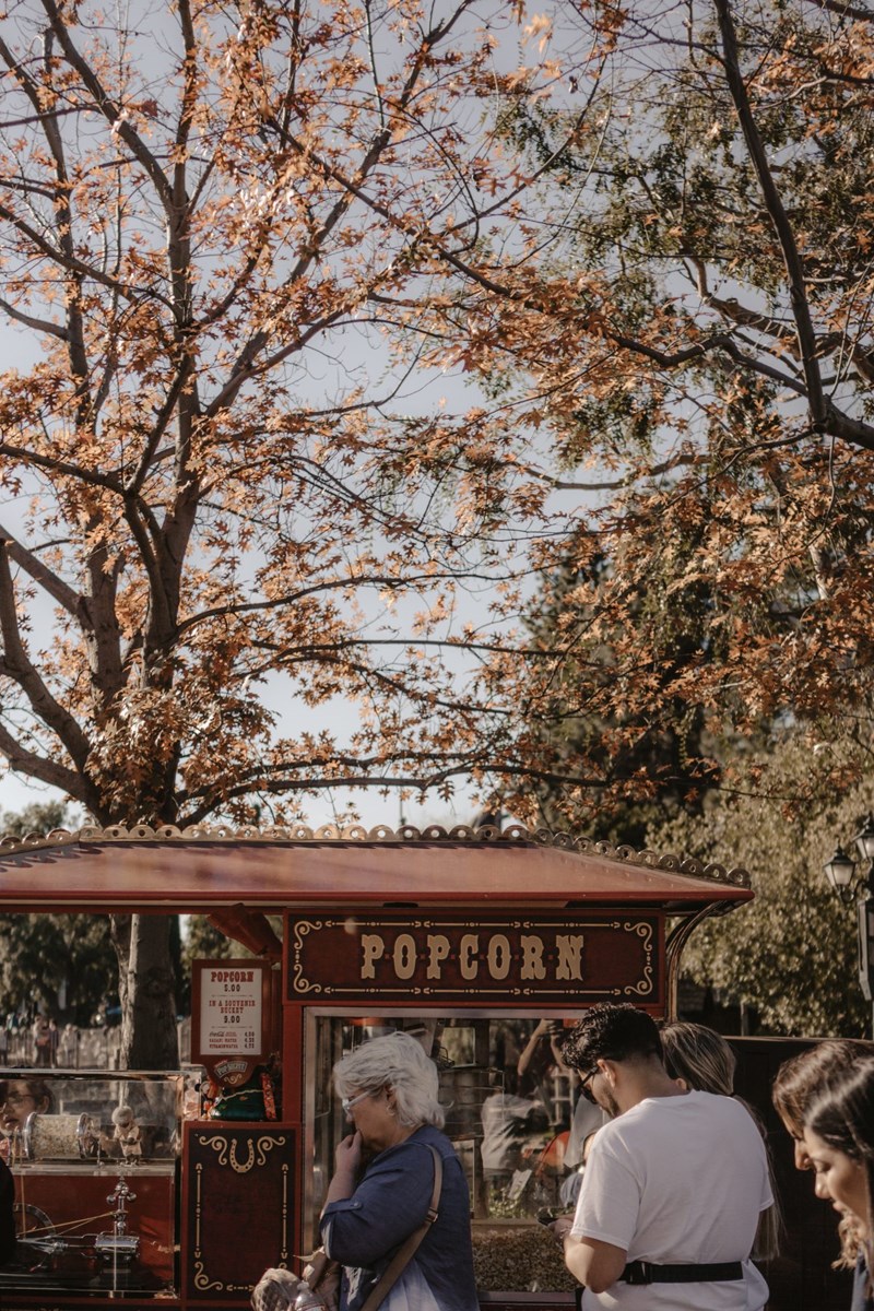 θερινά σινεμά