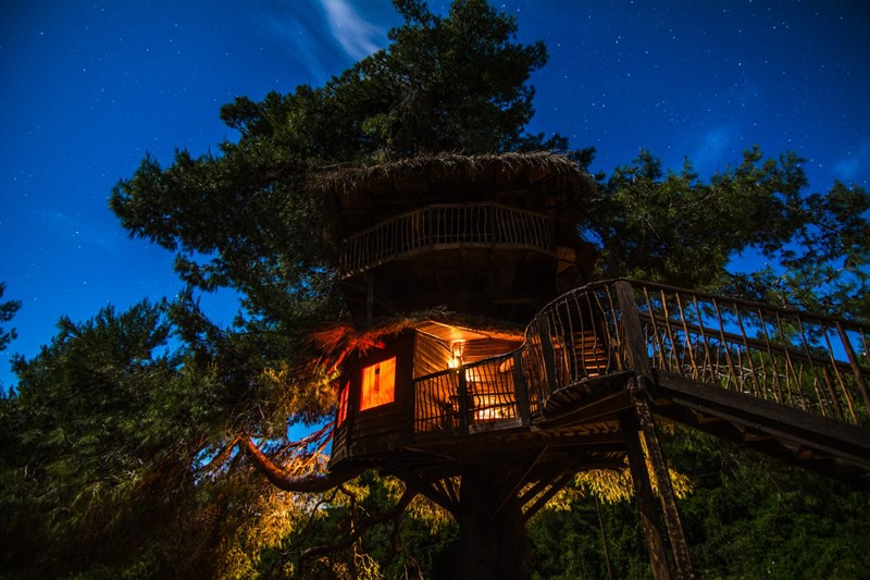 δεντρόσπιτο