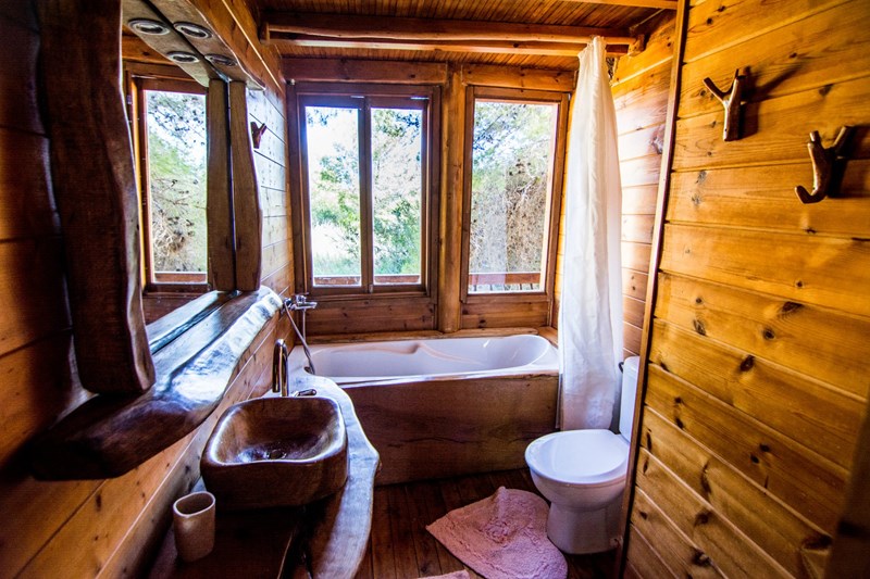 δεντρόαπιτο