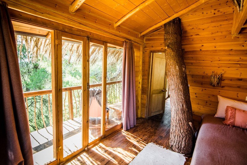 δεντόσπιτο