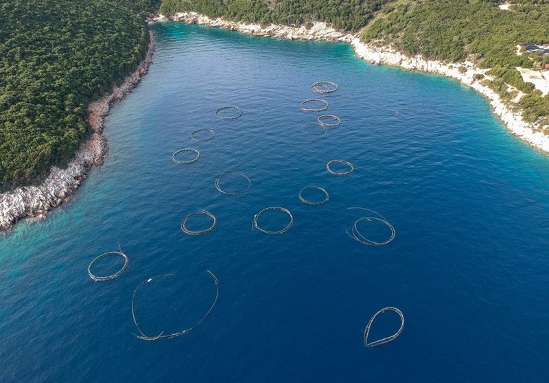 Σημαντικές πρωτοβουλίες από την Hyundai την Παγκόσμια Ημέρα Ωκεανών με σημείο εκκίνησης την Ιθάκη - εικόνα 3