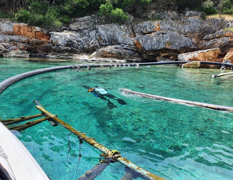 Σημαντικές πρωτοβουλίες από την Hyundai την Παγκόσμια Ημέρα Ωκεανών με σημείο εκκίνησης την Ιθάκη - εικόνα 6