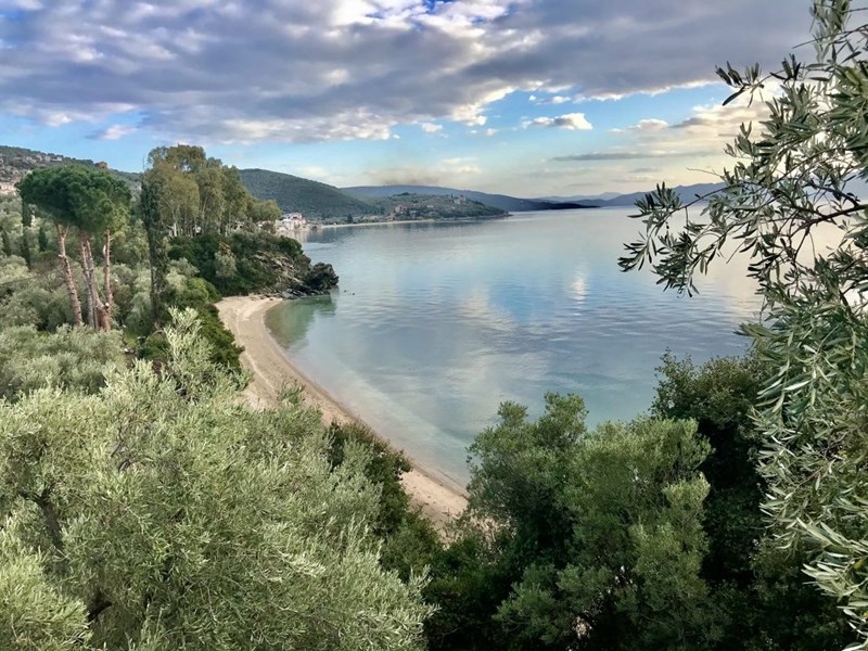 Αγκαλιάστε τη σοφία της φύσης με το Nature Coaching - εικόνα 2