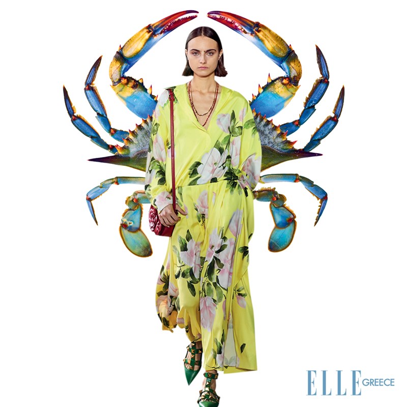 Ζώδια Αυγούστου: Τι επιφυλάσσουν οι πλανήτες για εσάς τον πιο καυτό μήνα του χρόνου; - εικόνα 4