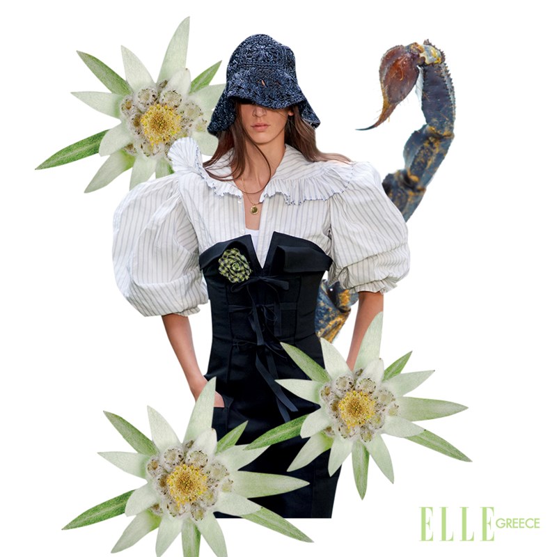 Ζώδια Αυγούστου: Τι επιφυλάσσουν οι πλανήτες για εσάς τον πιο καυτό μήνα του χρόνου; - εικόνα 8