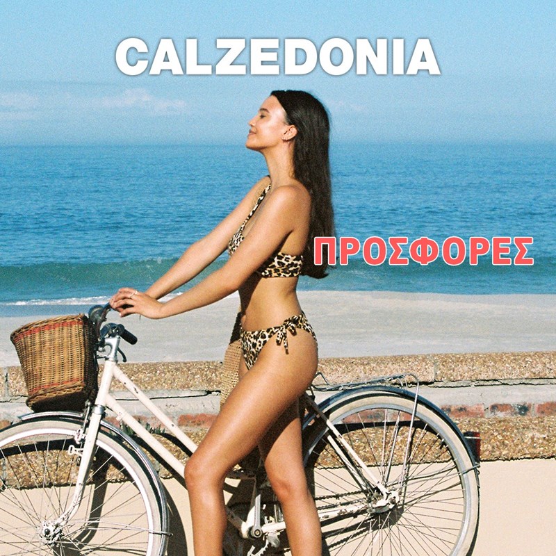 calzedonia 
