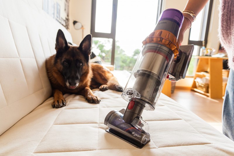 Η συγκατοίκηση με 2 σκυλιά είναι πότε το «dream come true» μου και πότε μια κατάσταση για γερά νεύρα και βαθιές ανάσες - εικόνα 6