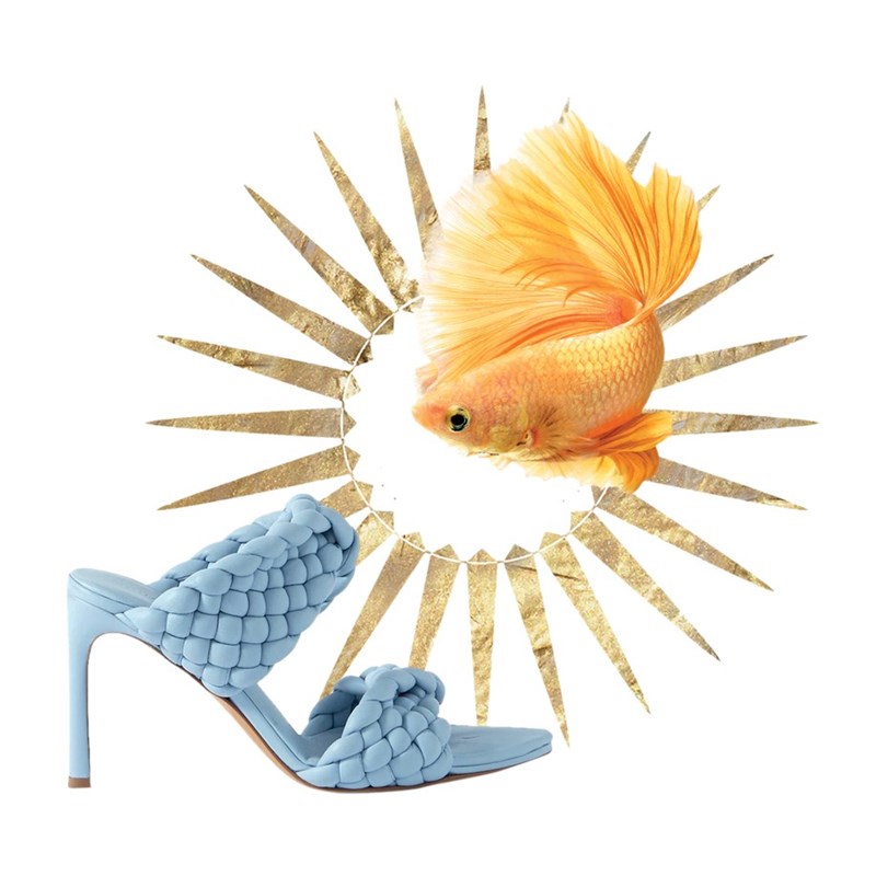 Ζώδια 2022: Τι προβλέπουν τα άστρα για τη νέα χρονιά; - εικόνα 12