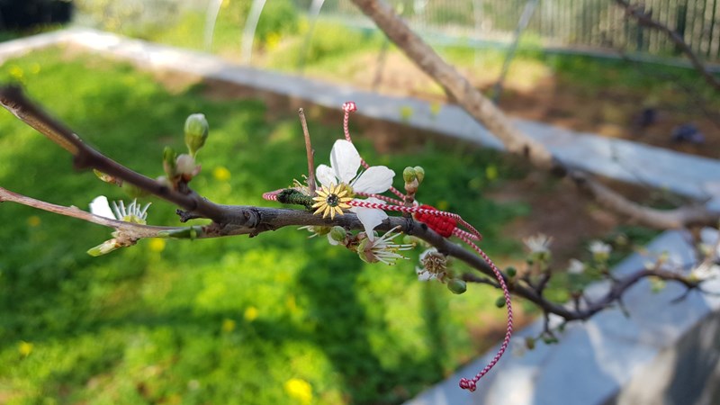 KLOSTI: Τα ωραιότερα μαρτάκια είναι εδώ! - εικόνα 5