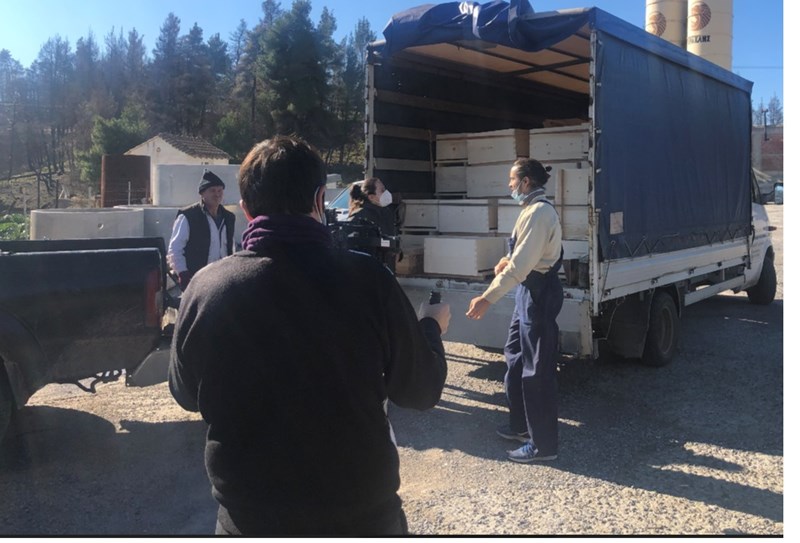 Beegin: Όταν οι μέλισσες δίνουν ξανά ζωή στην (καμένη) Βόρεια Εύβοια - εικόνα 4