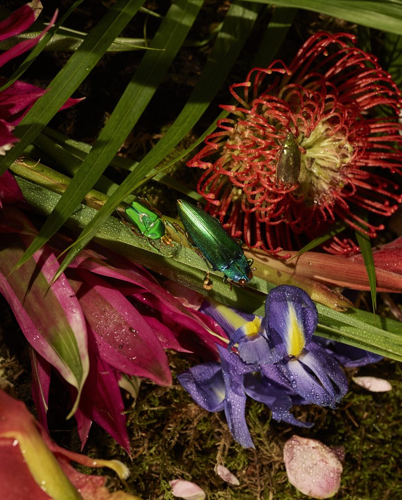 Ολική Επαναφορά: 15 συμβουλές για υγιές σώμα και ανεβασμένη διάθεση - εικόνα 4