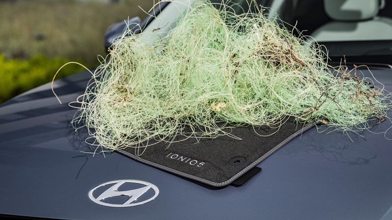 Η Hyundai δεσμεύεται (ξανά!) για την προστασία των θαλασσών - εικόνα 3