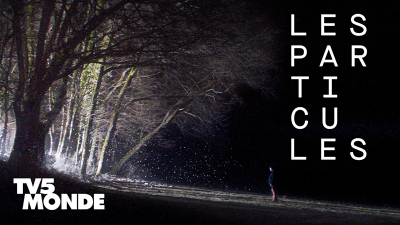 Φεστιβάλ των Καννών