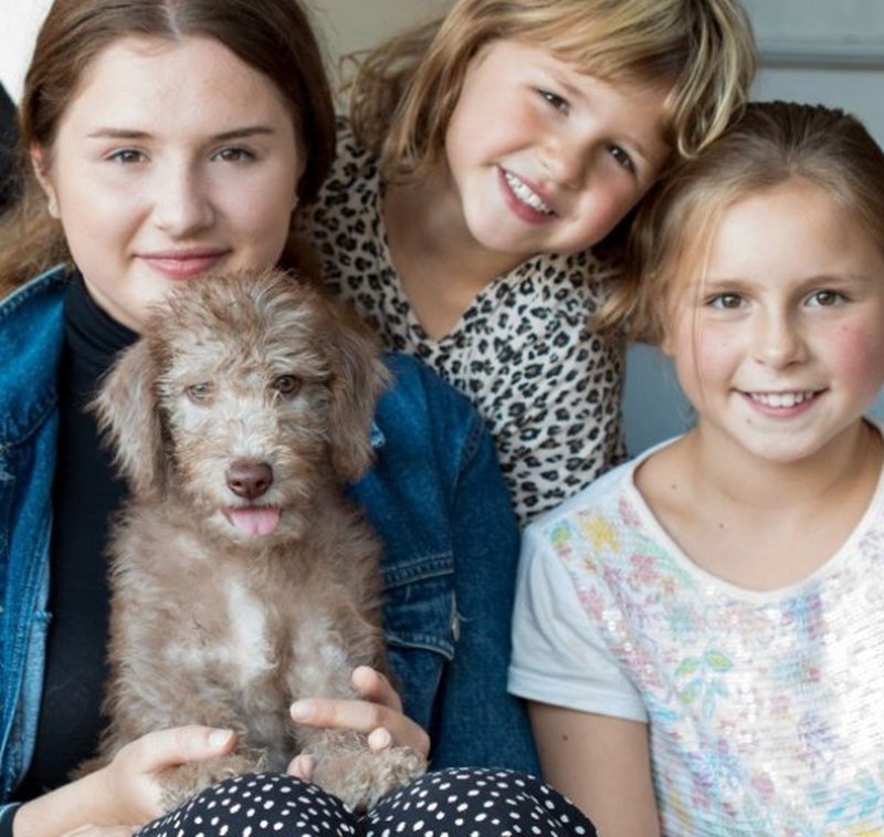 Ιούνιος Viasat Nature: Αξιολάτρευτα κουτάβια και ένα μεγάλο αφιέρωμα στη ζωή των αρκούδων - εικόνα 1