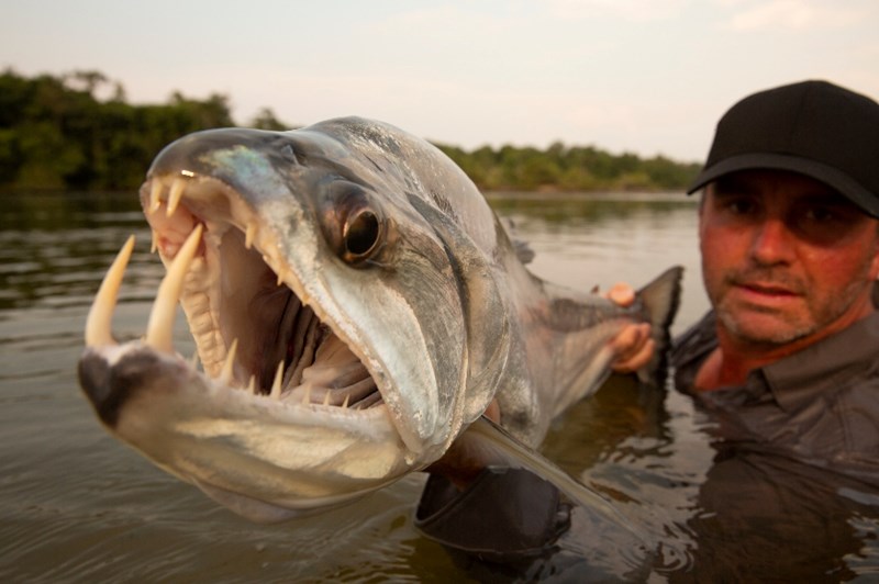Ιούνιος στο Viasat Explore: Οι άνθρωποι της πέτρας έρχονται με νέο κύκλο - εικόνα 2