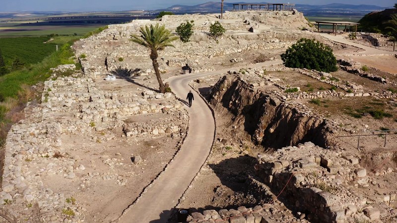 Ιούνιος στο Viasat History: Η ιστορία των χαμένων εκατομμυρίων της Γκρέις Κέλι, τα μυστικά των βασιλικών οικογενειών και ένα ταξίδι στον συναρπαστικό ανθρώπινο πολιτισμό - εικόνα 3