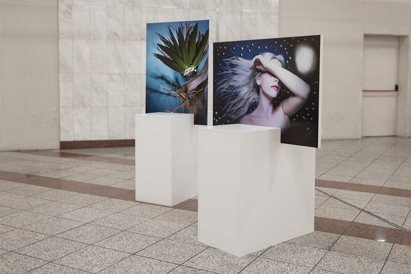 “The Artpit Collection”: Μια έκθεση φωτογραφίας αφιερωμένη στην ομορφιά που κρύβεται παντού - εικόνα 1