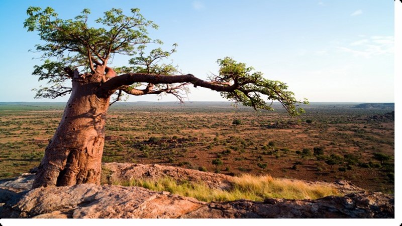 Ιούλιος στο Viasat Nature: Ανακαλύπτουμε την αχανή Αφρική - εικόνα 1