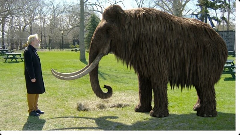 Ιούλιος στο Viasat Nature: Ανακαλύπτουμε την αχανή Αφρική - εικόνα 3