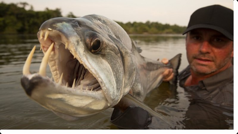 Ιούλιος στο Viasat Explore: O νέος κύκλος για τις "Καταραμένες σακαράκες" είναι εδώ - εικόνα 3